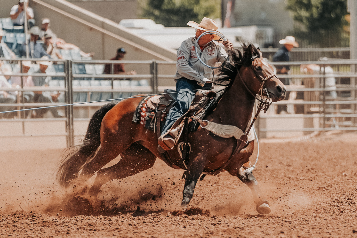 Old West Roping